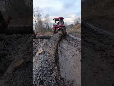 video-thumb