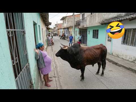 video-thumb