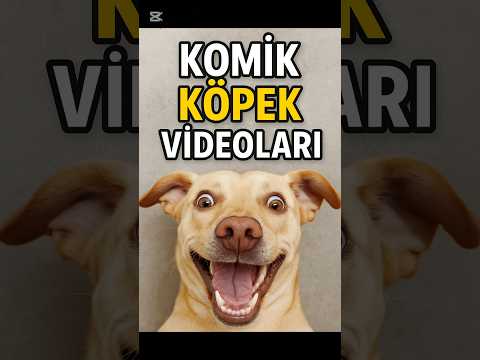 Video Thumb